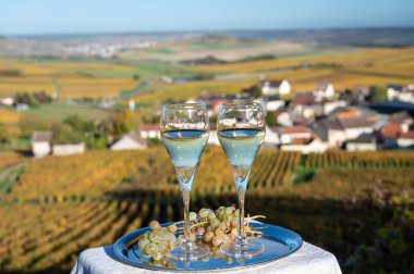 Fransız köpüklü beyaz şarabının tadına bakmak açık terasta şampanya içmek Epernay, Fransa yakınlarındaki Cramant köyünde renkli büyük cru şampanya bağları manzaralı