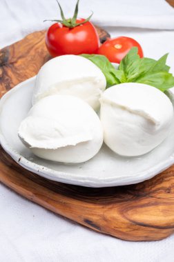 Beyaz İtalyan yumuşak peyniri Mozzarella di Bufala Campana topları taze yeşil fesleğen yaprakları ve kırmızı domatesle servis edilir.