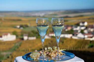Tasting of french sparkling white wine with bubbles champagne on outdoor terrace with view on colorful grand cru Champagne vineyards in village Cramant in October, near Epernay, France clipart