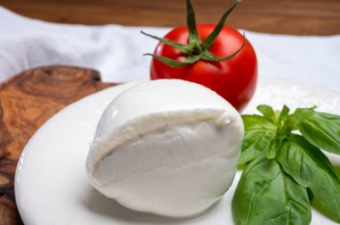 Beyaz İtalyan yumuşak peyniri Mozzarella di Bufala Campana topu taze yeşil fesleğen yaprakları ve kırmızı domatesle servis edilir.