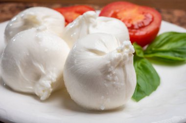 Puglia 'dan taze el yapımı İtalyan peyniri yemek, beyaz burrata topları veya mozzarella ve kremadan yapılmış burratina peyniri yemek.