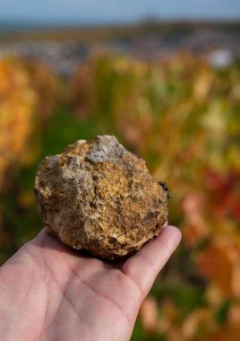 Örneğin, Moulin de Verzenay yakınlarındaki toprak çakmaktaşları, Fransa 'da şampanya üretimi, Moulin de Verzenay yakınlarındaki Pinot Noir üzüm bağları, Montagne de Reims, Verzenay yakınlarındaki toprak çakmaktaşları, şampanya ve şarap.