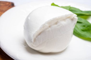 İtalyan yumuşak peynirli beyaz top Mozzarella di Bufala Campana taze yeşil fesleğen yapraklarıyla servis edilir.