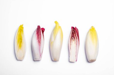 Taze organik Belçika endivi veya acı yeşil ve kırmızı hindiba marulu beyaz arka planda izole edilmiş.