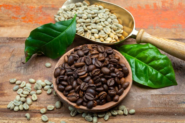Green and roasted coffee beans from South America coffee producing region, from Colombia and Brazil with mountain ranges and climate ideal for coffee growing, close up