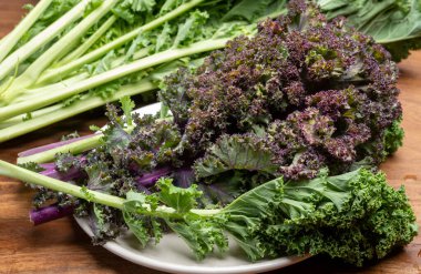 Kışın taze sebze yaprakları yeşil ve mor lahana.