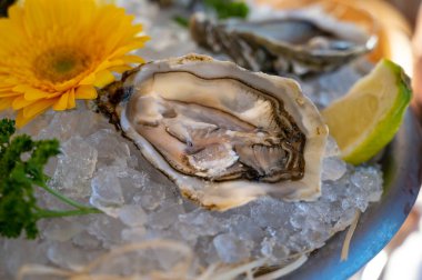Fransız restoranında buzda limonla servis edilen taze açık istiridye deniz ürünleri yenmeye hazır.