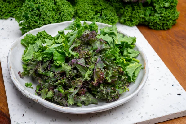 Vegetarian food, fresh leaves of winter vegetable green and purple kale cabbage