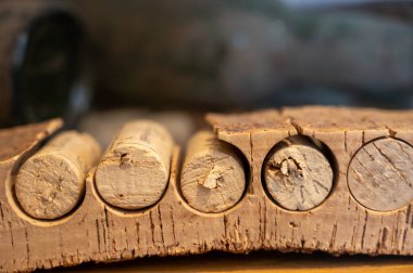 Meşe ağacından şarap şişeleri için tıpa tıpası yapmanın geleneksel bir yolu.