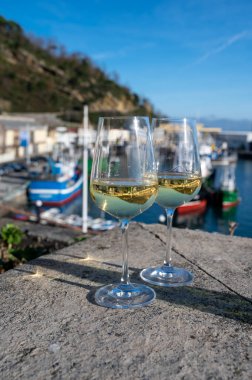 Tasting of txakoli or chacoli slightly sparkling very dry white wine produced in Spanish Basque Country with view on old port and sunny village Getaria, Spain