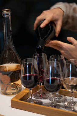 Tasting of variety of rioja wines, visit of winery cellars with french or american oak barrels with agening red wine, Rioja wine making region, Spain