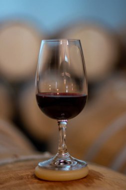 Tasting of variety of rioja wines, visit of winery cellars with french or american oak barrels with agening red wine, Rioja wine making region, Spain