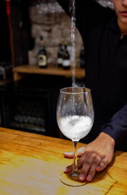 Cheese collection, one big ball on soft white italian mozzarella bufala campania cheese with red tomato and green basil leaves on gray board