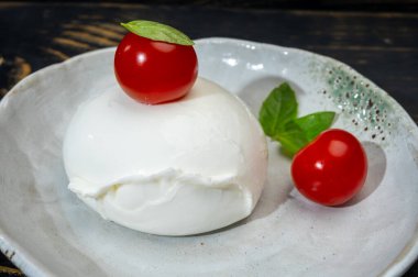 Cheese collection, one big ball on soft white italian mozzarella bufala campania cheese with red tomato and green basil leaves on gray board