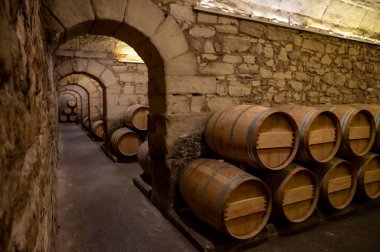 Old french oak wooden barrels in underground cellars for wine aging process, wine making in La Rioja region, Spain