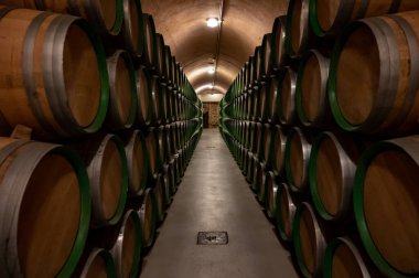 Old french oak wooden barrels in underground cellars for wine aging process, wine making in La Rioja region, Spain