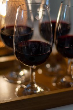 Tasting of variety of rioja wines, visit of winery cellars with french or american oak barrels with agening red wine, Rioja wine making region, Spain