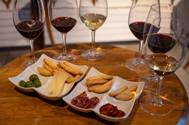 Tasting of different red and white rioja wines, visit of winery cellars, Rioja wine making region, Spain