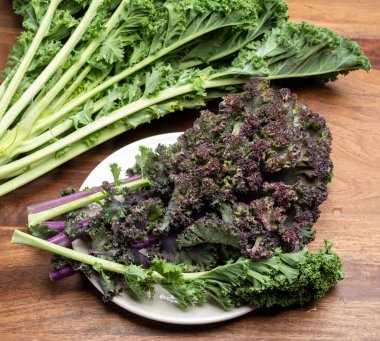 Kışın taze sebze yaprakları yeşil ve mor lahana.