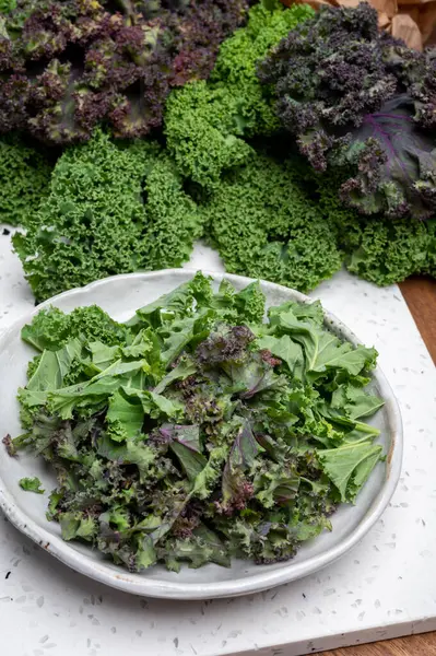 Vegetarian food, fresh leaves of winter vegetable green and purple kale cabbage