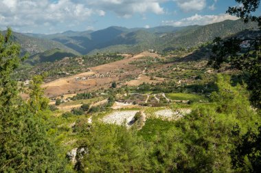 Landscape of Cyprus island, forest, mountains, vineyards, vacation on nature