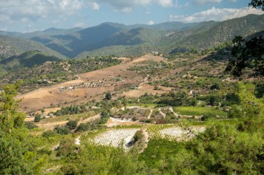 Landscape of Cyprus island, forest, mountains, vineyards, vacation on nature