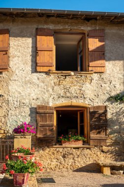 Wine making region Beaujolais Pierre dorees wioth yellow houses and hilly vineyards, France in summer