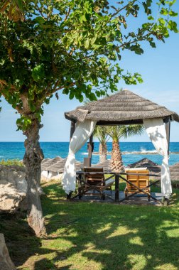 Vacation resorts on Cyprus near Paprhos with green grass, beach umbrellas, beds, beaches and palm trees, travel destination in EU, Cyprus