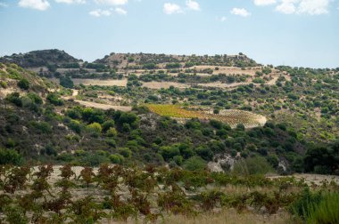 Landscape of Cyprus island, forest, mountains, vineyards, vacation on nature