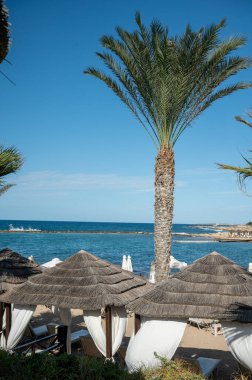 Vacation resorts on Cyprus near Paprhos with green grass, beach umbrellas, beds, beaches and palm trees, travel destination in EU, Cyprus