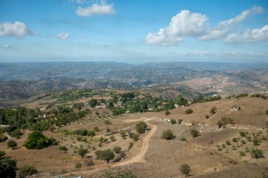 Landscape of Cyprus island, forest, mountains, vineyards, vacation on nature