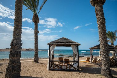 Vacation resorts on Cyprus near Paprhos with green grass, beach umbrellas, beds, beaches and palm trees, travel destination in EU, Cyprus