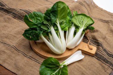 Genç taze organik bok choy veya bak choi Çin lahanası pişirmeye hazır