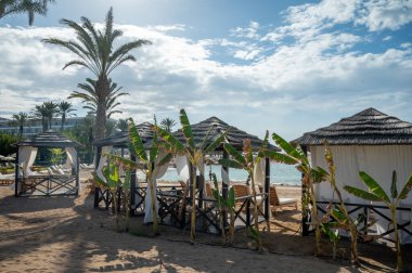 Vacation resorts on Cyprus near Paprhos with green grass, beach umbrellas, beds, beaches and palm trees, travel destination in EU, Cyprus