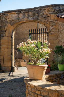 Wine making region Beaujolais Pierre dorees wioth yellow houses and hilly vineyards, France in summer