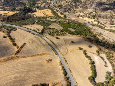 Landscape of Cyprus island, forest, mountains, vineyards, vacation on nature