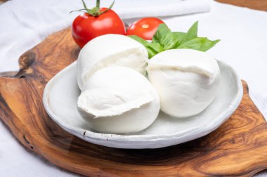 Beyaz İtalyan yumuşak peyniri Mozzarella di Bufala Campana topları taze yeşil fesleğen yaprakları ve kırmızı domatesle servis edilir.