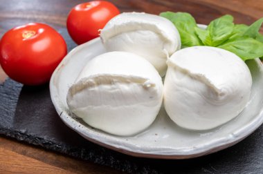Beyaz İtalyan yumuşak peyniri Mozzarella di Bufala Campana topları taze yeşil fesleğen yaprakları ve kırmızı domatesle servis edilir.