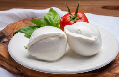 Beyaz İtalyan yumuşak peyniri Mozzarella di Bufala Campana topu taze yeşil fesleğen yaprakları ve kırmızı domatesle servis edilir.