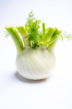 Sağlıklı sebze diyeti, çiğ beyaz florans rezene lambası beyaz arka planda izole edilmiş.