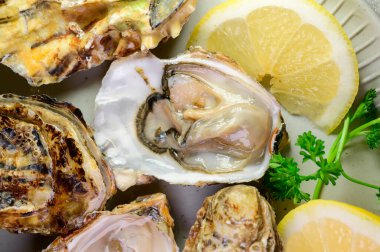 Eating of fresh big raw Zeeuwse Creuse Dutch oysters from Zeeland with fresh lemon juice, Netherlands