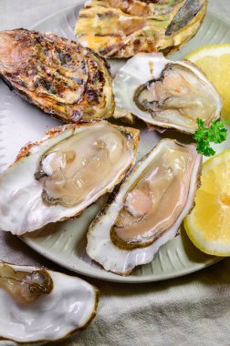 Eating of fresh big raw Zeeuwse Creuse Dutch oysters from Zeeland with fresh lemon juice, Netherlands