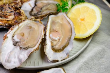 Eating of fresh big raw Zeeuwse Creuse Dutch oysters from Zeeland with fresh lemon juice, Netherlands