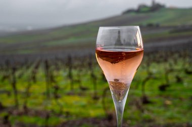 Brut gülü şampanyası tatmak açık havada Pinot noir gran cru üzüm bağları Montagne de Reims yakınlarındaki ünlü şampanya evlerinin manzaralı Verzenay, Champagne, France