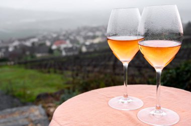 Tasting of premier cru sparkling rose wine with bubbles champagne outdoor with view on hilly pinot meunier vineyards in Hautvillers in rainy February, near Epernay, France.