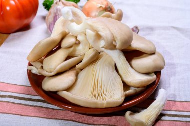 Tasty vegetarian food, fresh organic Pleurotus ostreatus, or oyster mushrooms, hiratake, or pearl oyster mushrooms close up