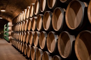 Old french oak wooden barrels in underground cellars for wine aging process, wine making in La Rioja region, Spain