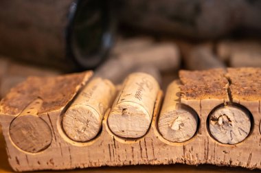 Meşe ağacından şarap şişeleri için tıpa tıpası yapmanın geleneksel bir yolu.