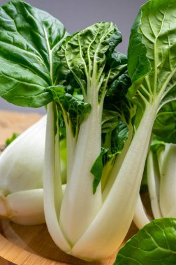 Genç taze organik bok choy veya bak choi Çin lahanası pişirmeye hazır