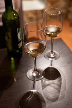 Tasting of different white rioja wines, visit of winery cellars, Rioja wine making region, Spain